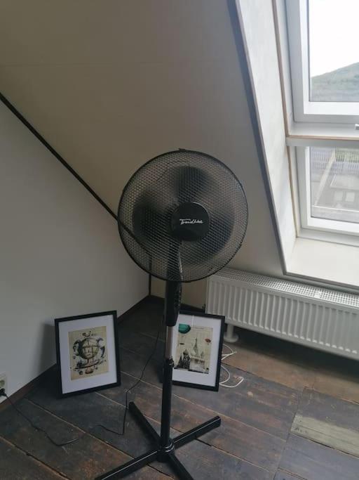 Schoene Wohnung Im Jugendstilhaus Im Weltkulturerbe باشاراش المظهر الخارجي الصورة